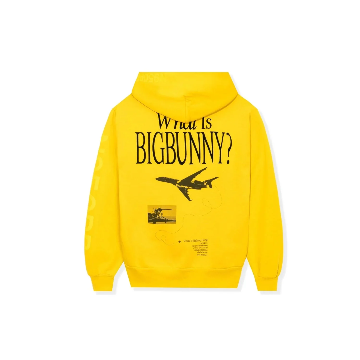 Playboy Aviation Wings N950PB Hoodie - Image 2